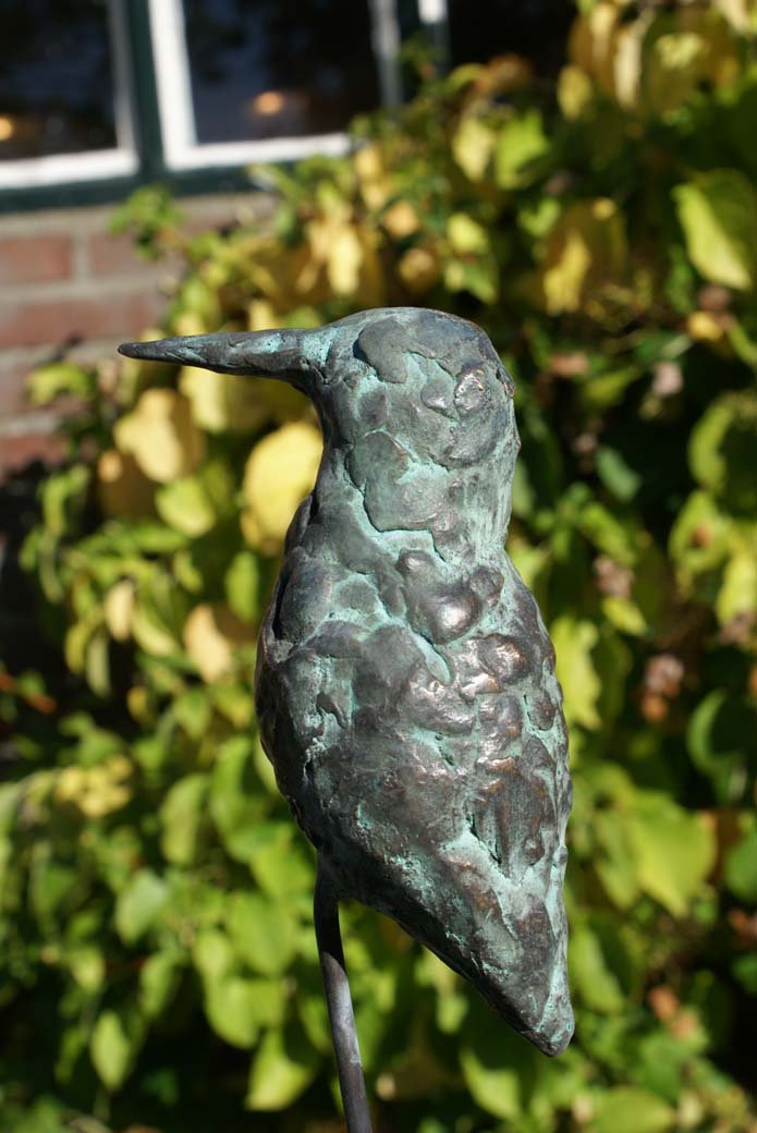IJsvogel